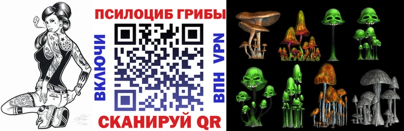 MEGA маркетплейс  Анива  Галлюциногенные грибы мицелий  нарко площадка как зайти  закладка 